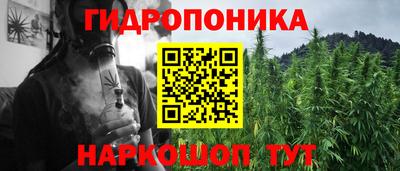 мяу мяу мука Гатчина