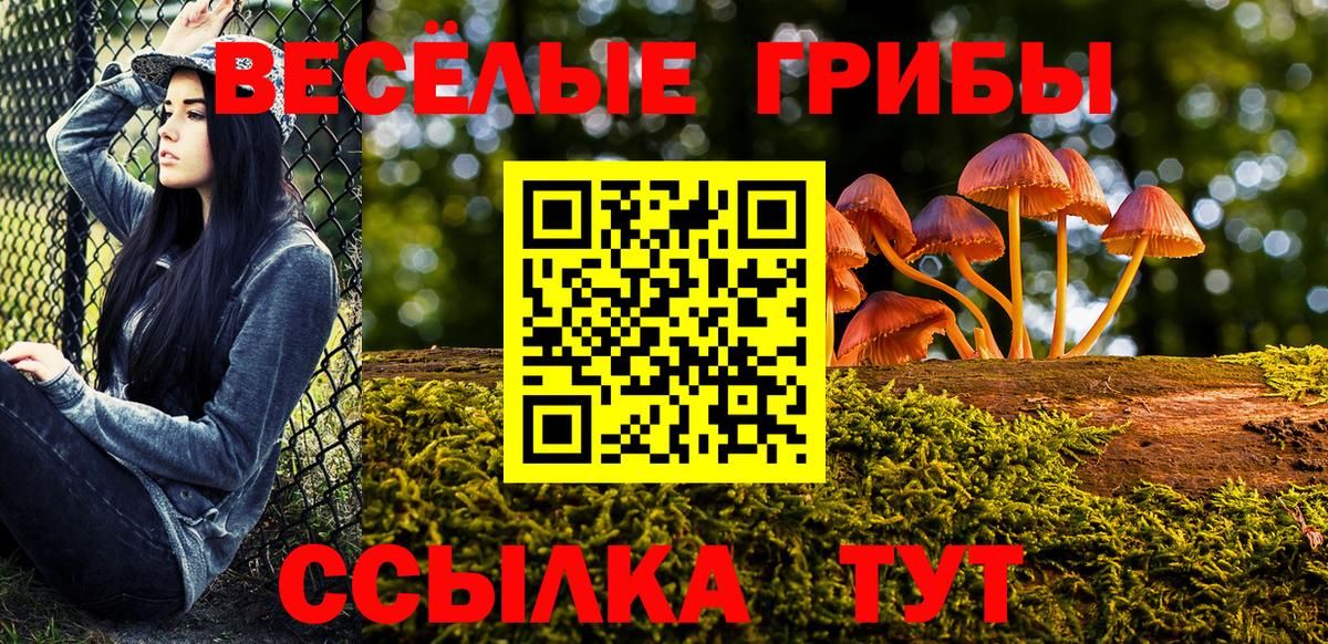 Галлюциногенные грибы мицелий  Вход с VPN  Ногинск 