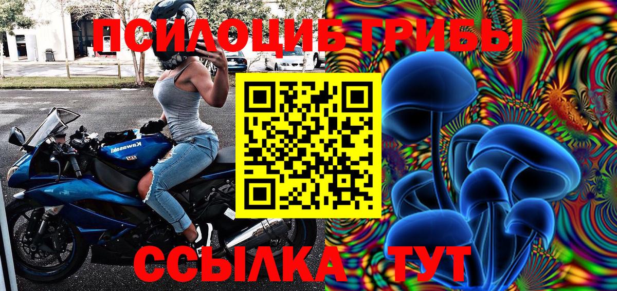 Псилоцибиновые грибы Cubensis Ногинск